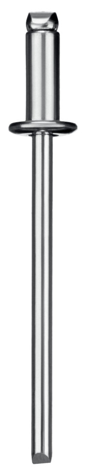 ЗУБР 3.2 x 8 мм, 50 шт, стальные заклепки, Профессионал (313126-32-08)